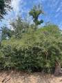 0 Ledoux Road - Photo 2