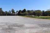 238 Napoleon Avenue - Photo 11