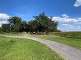 6737 Oak Lake Drive - Photo 3