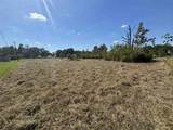 212 Hunter Road - Photo 3