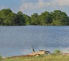 625 River Road - Photo 5