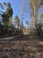 1038 Blackwood Court - Photo 57