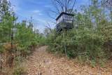 1365 Mouth Of The Creek Road - Photo 11