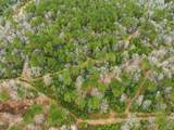 1365 Mouth Of The Creek Road - Photo 15