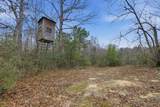 1365 Mouth Of The Creek Road - Photo 2
