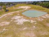 479 Newt Hodges Road - Photo 1