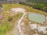479 Newt Hodges Road - Photo 6