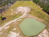 479 Newt Hodges Road - Photo 7