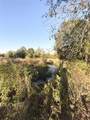 335 Cole Road - Photo 22