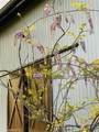 8149 Gordon Denison Road - Photo 22