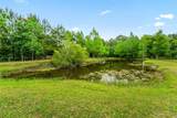 3486 Rachel Drive - Photo 4