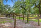 4490 Choupique Road - Photo 35