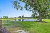 4490 Choupique Road - Photo 37