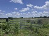 00 Estherwood Highway - Photo 7