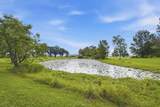 26094 Highway 383 Highway - Photo 25