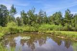 185 Frank Cole Rd Road - Photo 37