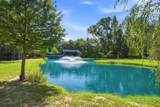 302 Pine Drive - Photo 46
