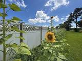 6908 Murl Ellender Road - Photo 26