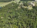 185 Frank Cole Rd Road - Photo 46