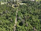 185 Frank Cole Rd Road - Photo 48