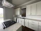 1007 Camellia Boulevard - Photo 8