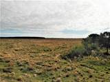  Blanchard Road - Photo 6