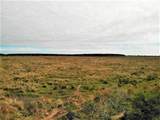  Blanchard Road - Photo 8