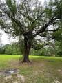 0 Brahman Drive - Photo 9