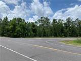 0 Pine Forest Road - Photo 3