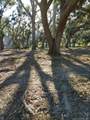 0 Bazile Daigle Road - Photo 3