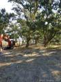 0 Bazile Daigle Road - Photo 4