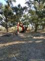 0 Bazile Daigle Road - Photo 6