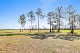 1765 Pelican Drive - Photo 8