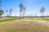 1773 Pelican Drive - Photo 9