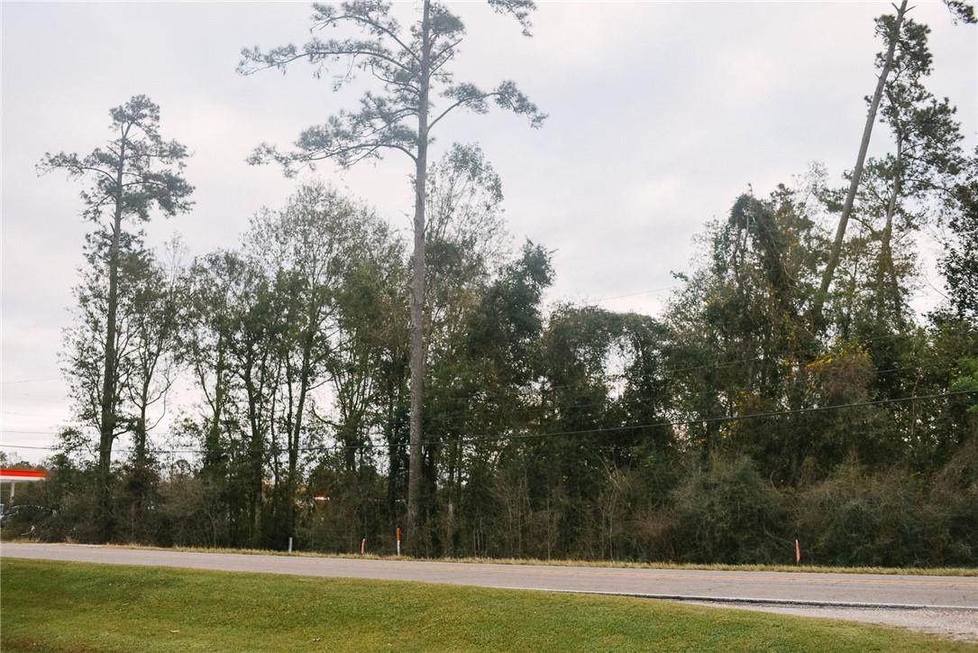 12564 La 442 Highway - Photo 1