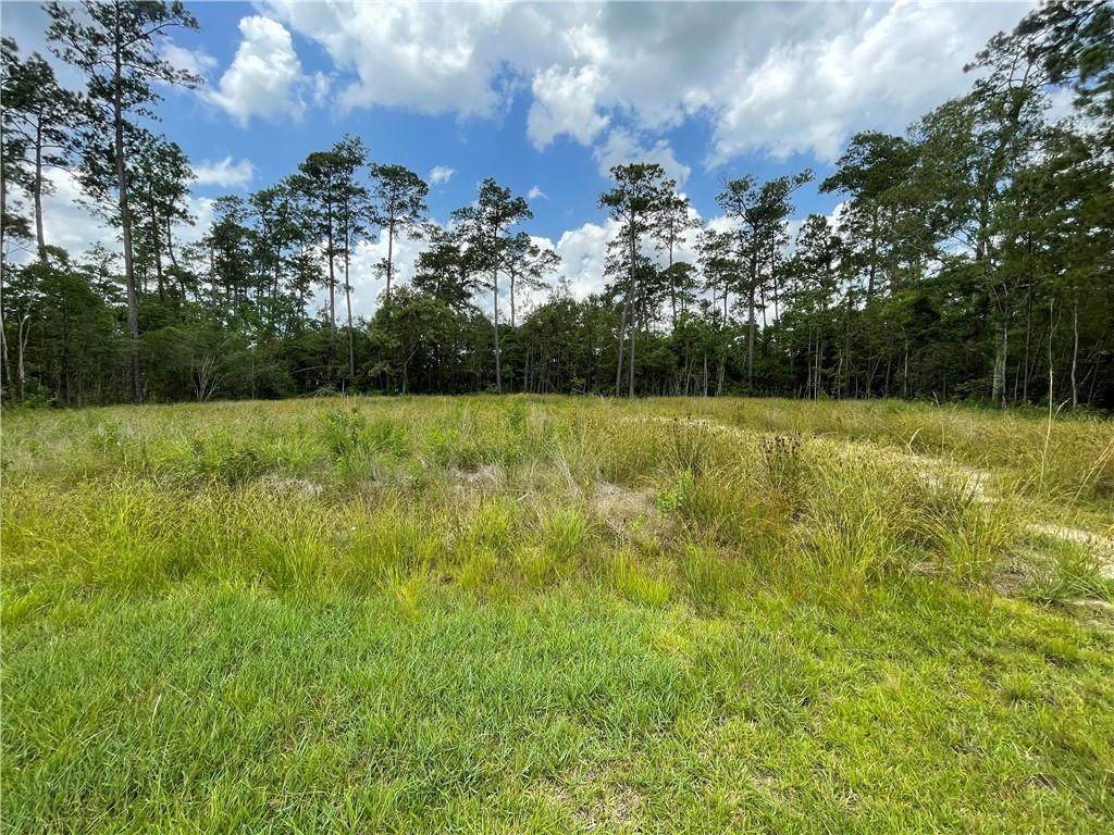 0 Brandon Drive - Photo 1