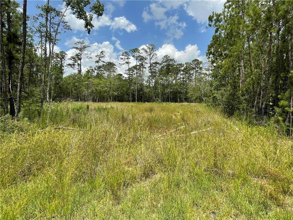 0 Brandon Drive - Photo 1