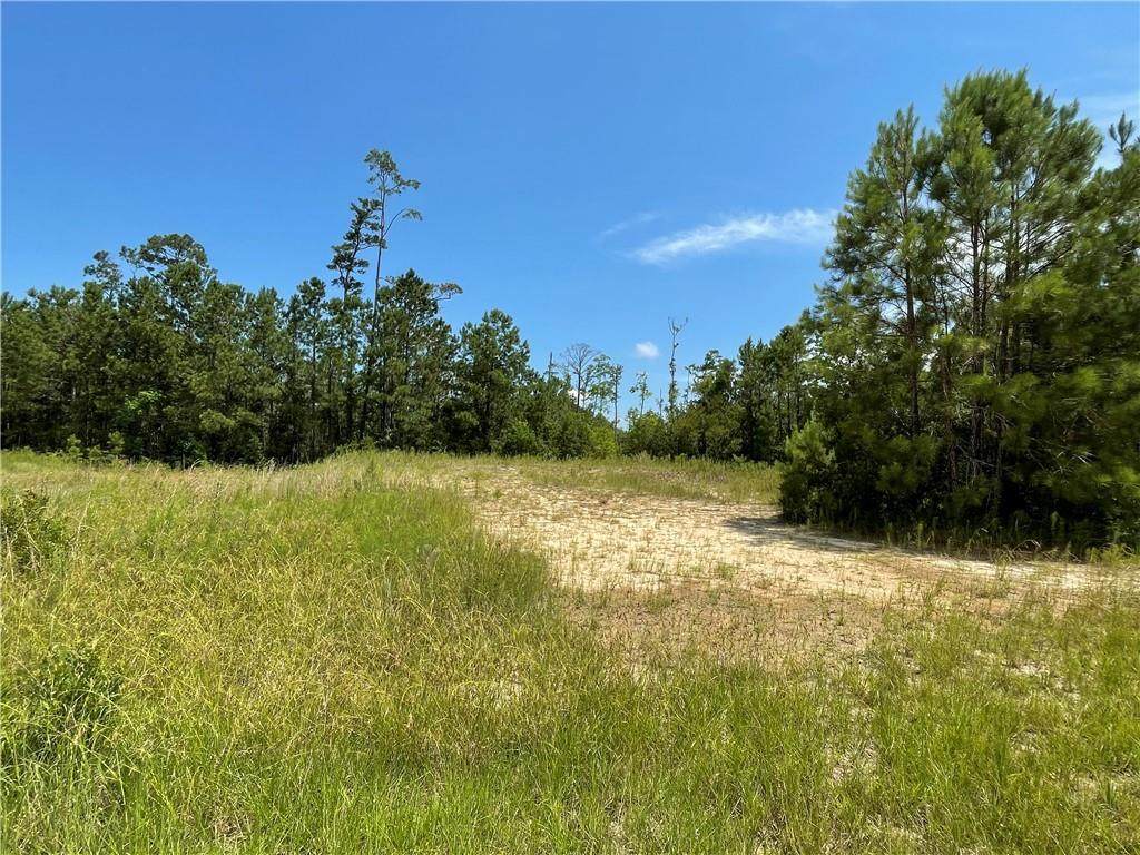 3040 Whitty Drive - Photo 1
