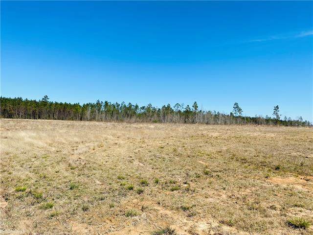 0 Camp Edgewood Road - Photo 1