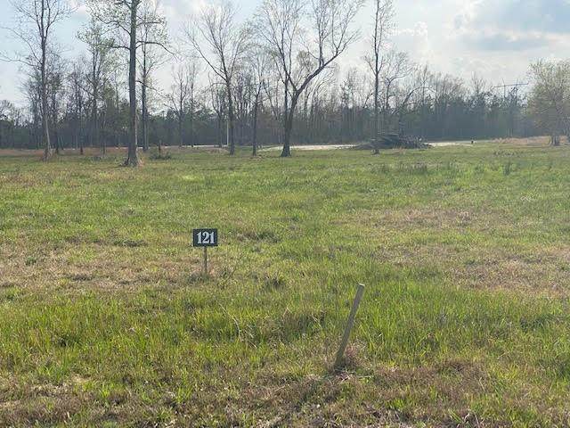 0 Coffey Farms Road - Photo 1