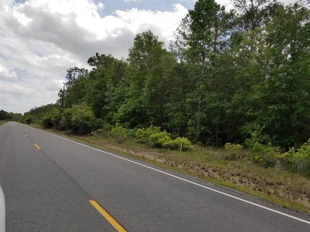 0 Robinson Cutoff Road - Photo 1