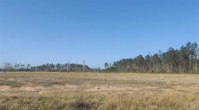 0 Lot 1 Miller Road - Photo 1