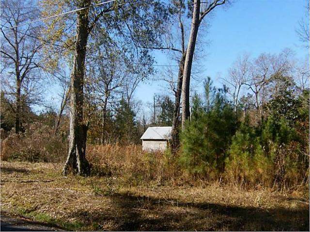 0 White Oak Street - Photo 1