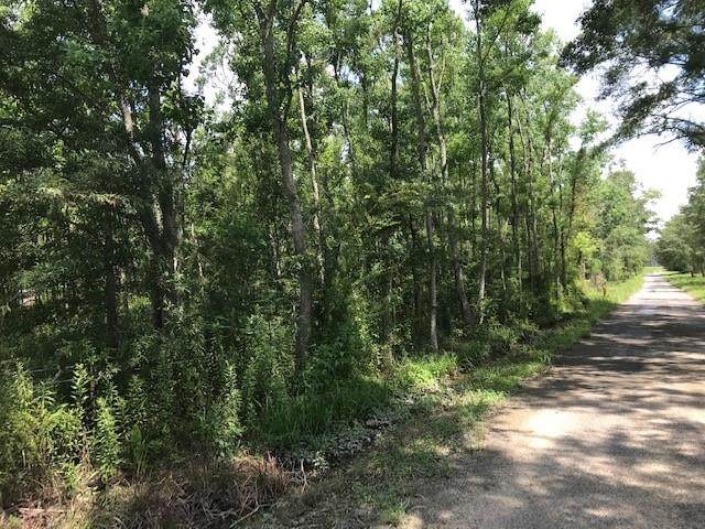 Flat Creek Ranch Road - Photo 1