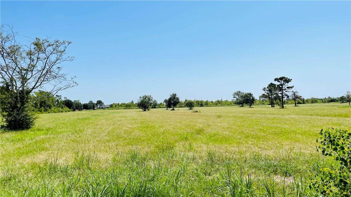 Ira Breaux Road - Photo 1