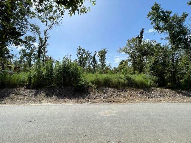 Baywood Drive - Photo 1