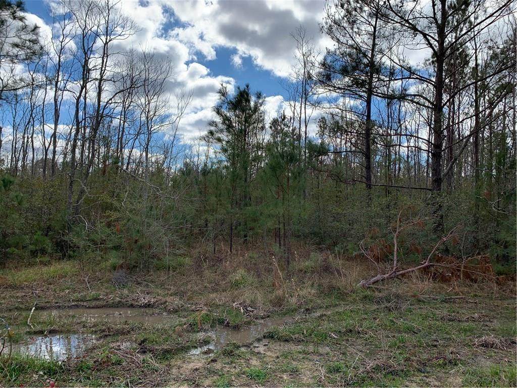 Hwy 3059 Highway - Photo 1