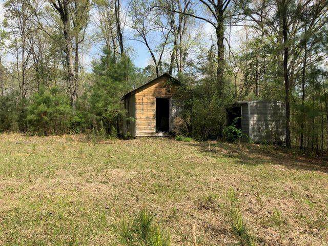 154 Child Holt Road - Photo 1