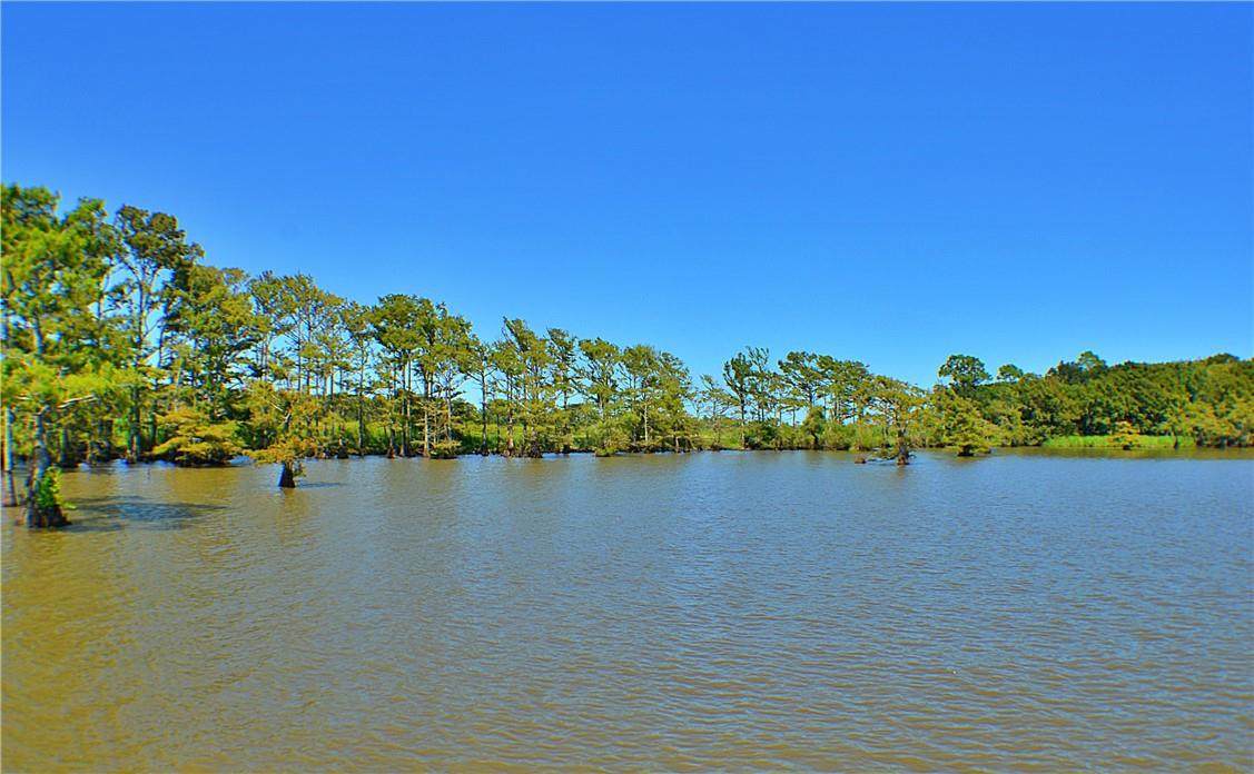 Dupont Road - Photo 1