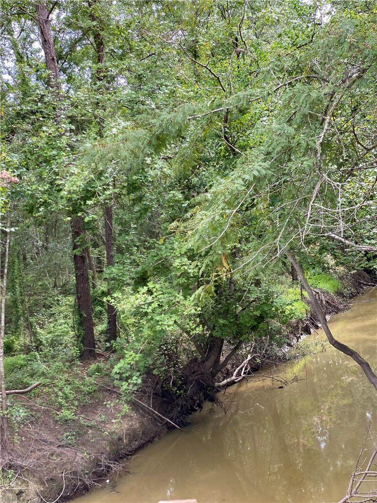 Niblitt's Bluff Road - Photo 1